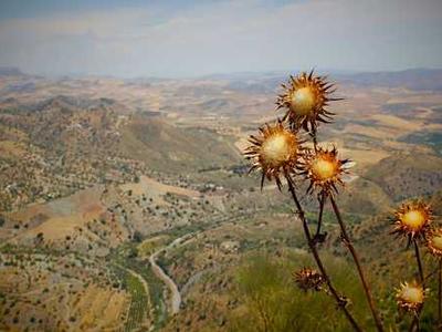 What are passkeys really? The simple explanation - for anyone tired of passwords