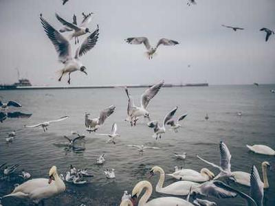 Should you buy $15 cordless screwdrivers from Amazon? I tested one, and here's my advice