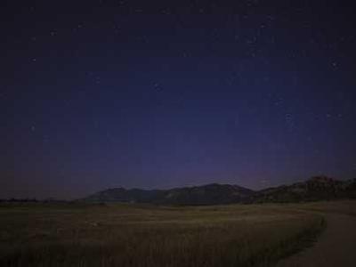 Turn AI chaos into a career opportunity by preparing for these 4 scenarios