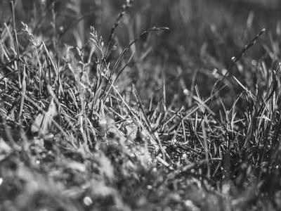 I tested a $5 phone fix dongle that made bold promises - here's the truth