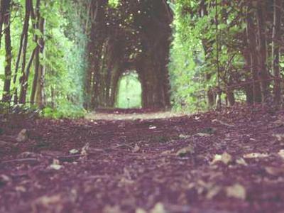 9 essential iPadOS 26 features that convinced me to put my MacBook away for good