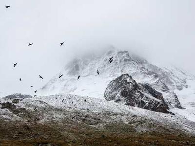 I changed 10+ settings on my iPhone to significantly extend its battery life (iOS 26 and older)