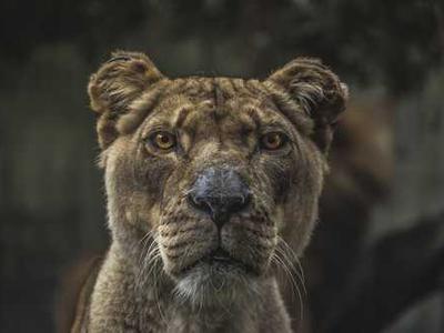 The SSD mistake I see everywhere - and the one model that fixes it