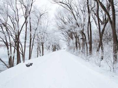 How to clear your TV cache (and wipe out lag for good)