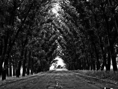 What are passkeys really? The simple explanation - for anyone tired of passwords