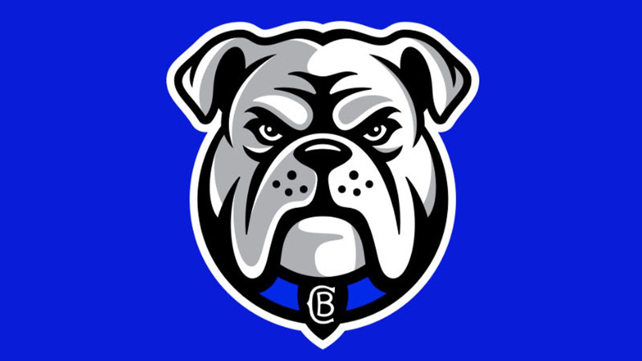 Sports fans used AI to recreate new logo to prove how generic it is