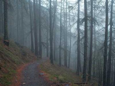 I tried living with a 22,000mAh Android for a week - here's my buying advice now