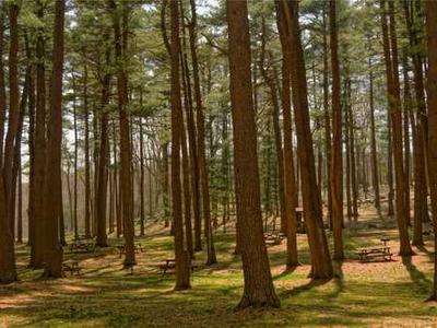 The SSD mistake I see everywhere - and the one model that fixes it