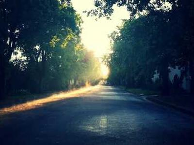 Should you buy $15 cordless screwdrivers from Amazon? I tested one, and here's my advice