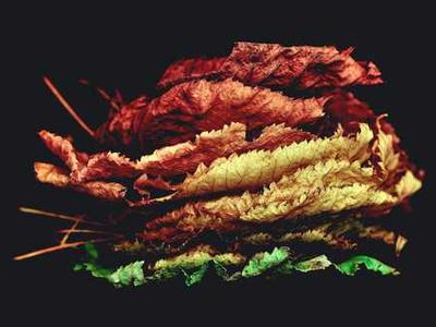 The best AI image generators of 2025: There's only one clear winner now