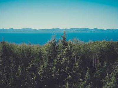 What are passkeys really? The simple explanation - for anyone tired of passwords