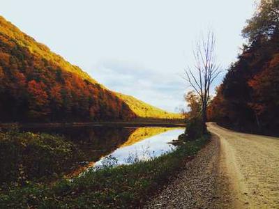How to clear your TV cache (and wipe out lag for good)