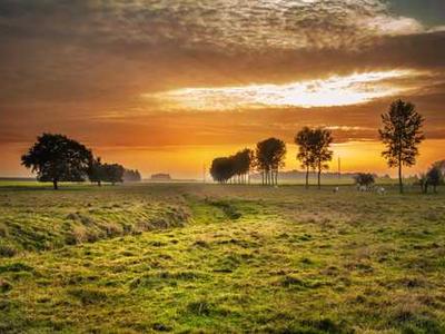 The best AI image generators of 2025: There's only one clear winner now