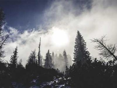 Should you buy $15 cordless screwdrivers from Amazon? I tested one, and here's my advice