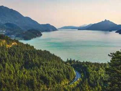 Turn AI chaos into a career opportunity by preparing for these 4 scenarios