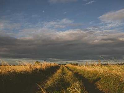 Browsing online at the airport? Here's why I use cellular instead of Wi-Fi (and you should, too)