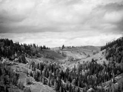 Turn AI chaos into a career opportunity by preparing for these 4 scenarios