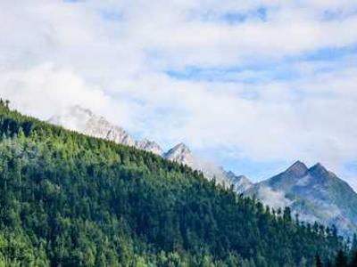 My iPhone alarm kept failing me - here are the 6 fixes that actually worked