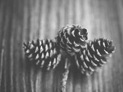 This is the only charging cable you'll ever need to avoid a tangling mess (and it's cheap)