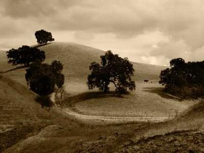 9 essential iPadOS 26 features that convinced me to put my MacBook away for good