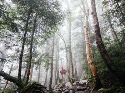 9 essential iPadOS 26 features that convinced me to put my MacBook away for good