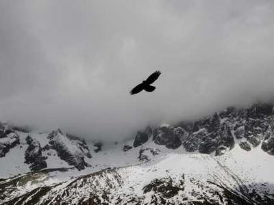 I left Google Maps behind for a free alternative that doesn't track me (or drain my phone battery)