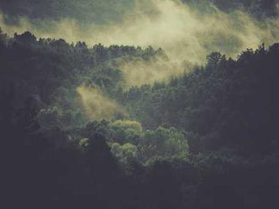 How to clear your TV cache (and wipe out lag for good)