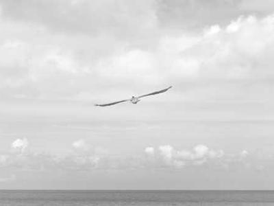 Lessons in Creativity from Rick Rubin: Focus on Your Art, Not the Audience