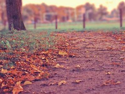 Browsing online at the airport? Here's why I use cellular instead of Wi-Fi (and you should, too)