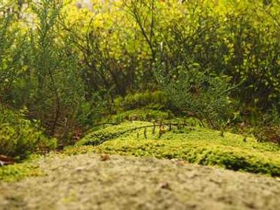 I tried living with a 22,000mAh Android for a week - here's my buying advice now