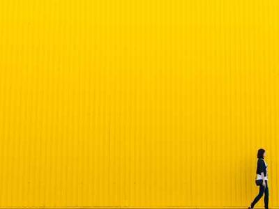 Vibe for WordPress by 10Web