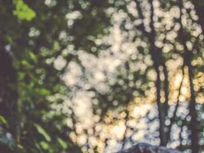 TSA's plea: Don't make these airport Wi-Fi and public charging mistakes this holiday