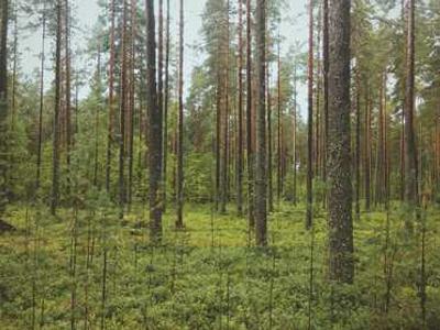 Browsing online at the airport? Here's why I use cellular instead of Wi-Fi (and you should, too)