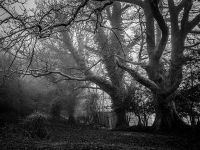 LG's new Dolby Atmos system promises immersive sound no matter where your speakers are