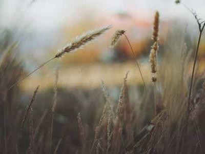 This is the only charging cable you'll ever need to avoid a tangling mess (and it's cheap)