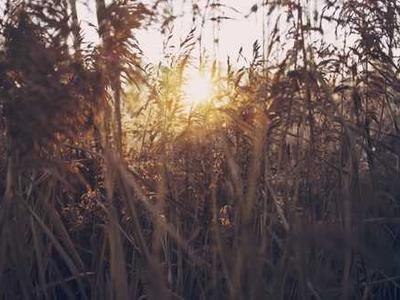 TSA's plea: Don't make these airport Wi-Fi and public charging mistakes this holiday