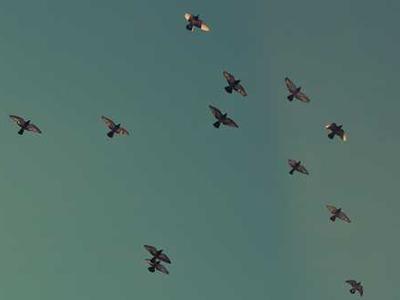 TSA's plea: Don't make these airport Wi-Fi and public charging mistakes this holiday