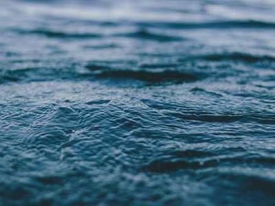 Turn AI chaos into a career opportunity by preparing for these 4 scenarios