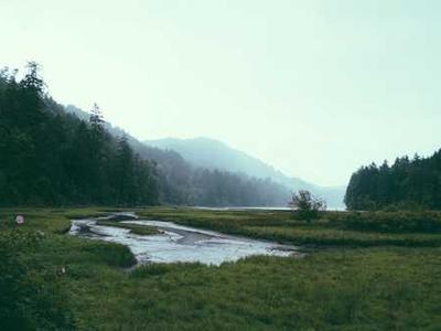 Turn AI chaos into a career opportunity by preparing for these 4 scenarios