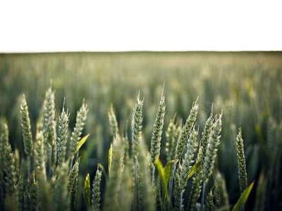 I'm a tech reviewer, and these 5 tech gadgets surprised me the most in 2025