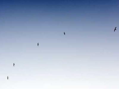 TSA's plea: Don't make these airport Wi-Fi and public charging mistakes this holiday