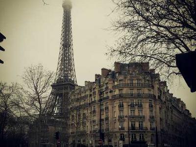 Turn AI chaos into a career opportunity by preparing for these 4 scenarios