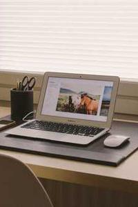 Reviewer Avatar